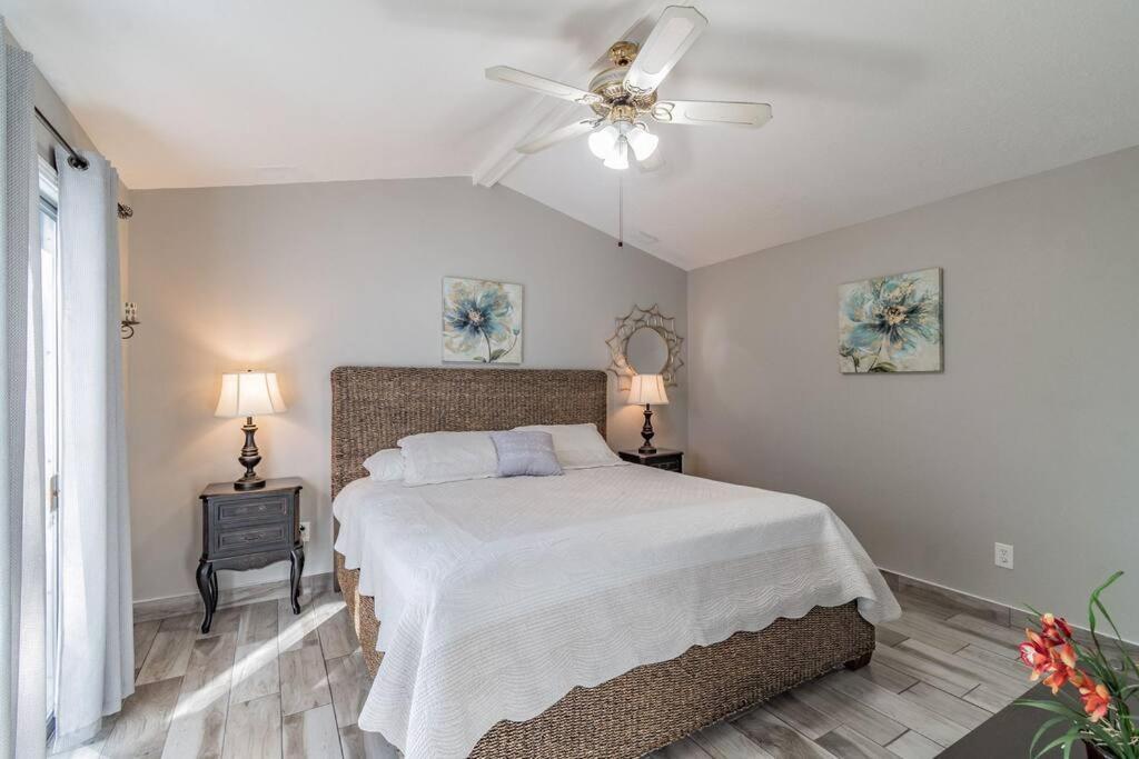 הוילה טאמפה Town 'N' Country Cozy Corner, Your Florida Fun Hub מראה חיצוני תמונה